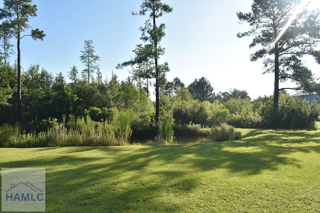 173 Macon Ln, Ludowici, GA 31316 - photo 23