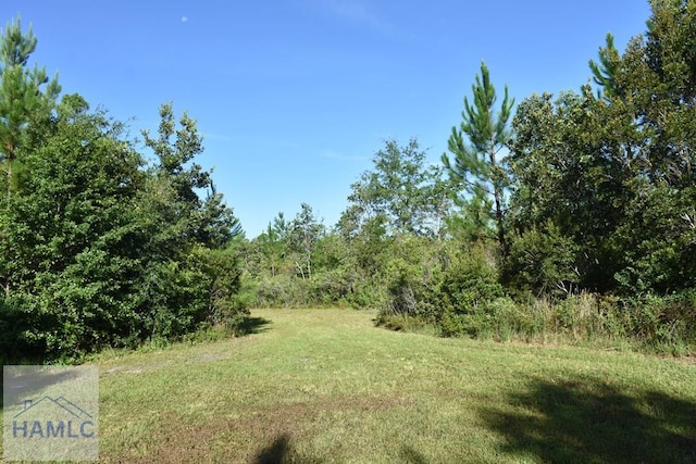173 Macon Ln, Ludowici, GA 31316 - photo 9