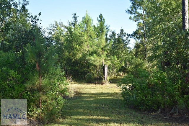 173 Macon Ln, Ludowici, GA 31316 - photo 11