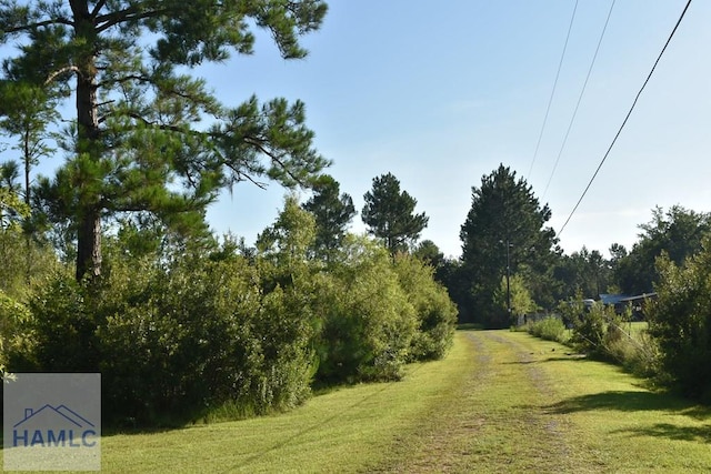 173 Macon Ln, Ludowici, GA 31316 - photo 12