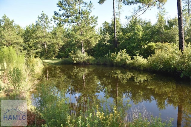 173 Macon Ln, Ludowici, GA 31316 - photo 22