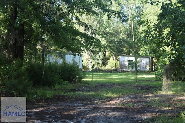 173 Macon Ln, Ludowici, GA 31316 - photo 16