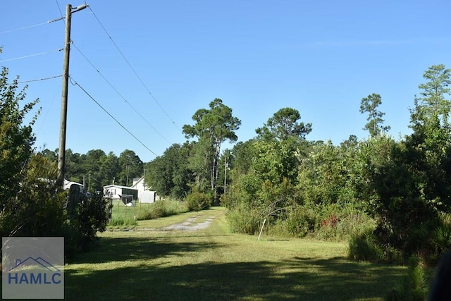 173 Macon Ln, Ludowici, GA 31316 - photo 2
