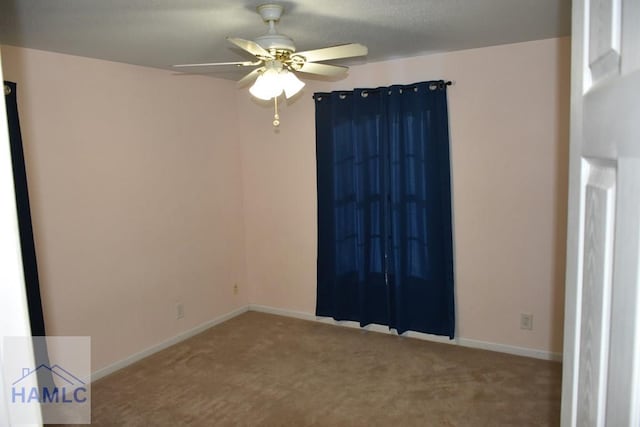 173 Macon Ln, Ludowici, GA 31316 - photo 31