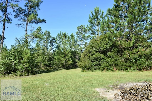 173 Macon Ln, Ludowici, GA 31316 - photo 10