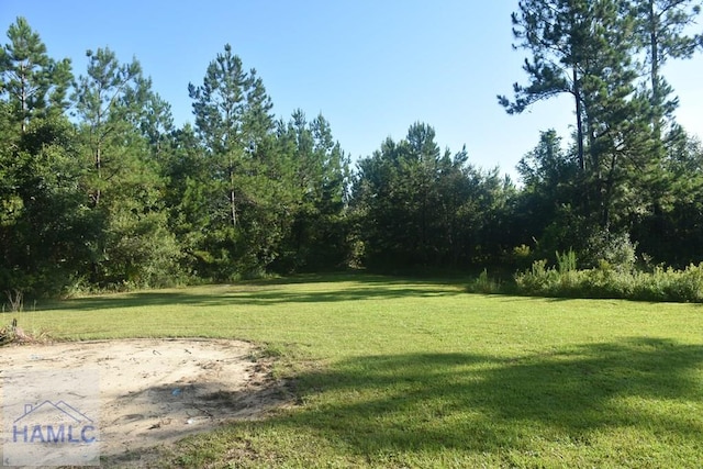 173 Macon Ln, Ludowici, GA 31316 - photo 13