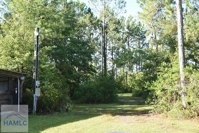 173 Macon Ln, Ludowici, GA 31316 - photo 4