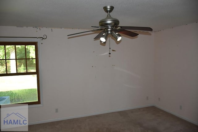 173 Macon Ln, Ludowici, GA 31316 - photo 24