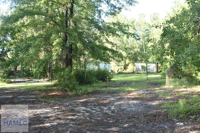 173 Macon Ln, Ludowici, GA 31316 - photo 17