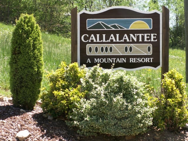 Listing photo 2 for TBD Callalantee Dr, Mountain City TN 37683