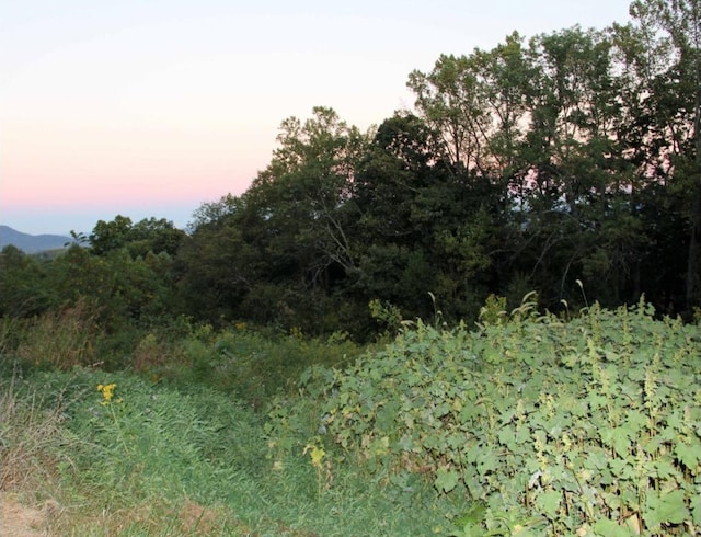 6016 Chestnut Ridge Rd, Kingsport, TN 37664