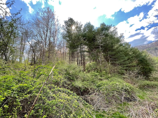 Listing photo 3 for Tbd Orby Cantrell Highway, Wise VA 24293