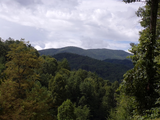 Listing photo 3 for LOT18 Lake Rdg, Subdivision, Butler TN 37640