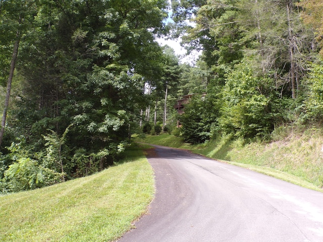 LOT33 Lake Rdg, Subdivision, Butler, TN 37640