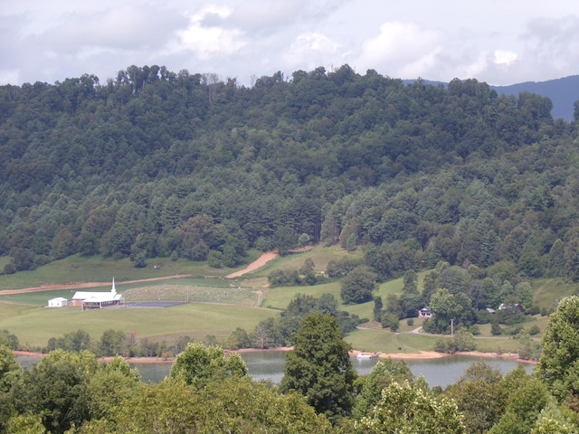 LOT33 Lake Rdg, Subdivision, Butler, TN 37640