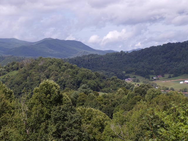 LOT33 Lake Rdg, Subdivision, Butler, TN 37640