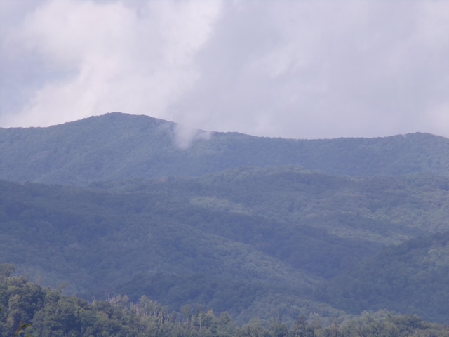 LOT33 Lake Rdg, Subdivision, Butler, TN 37640