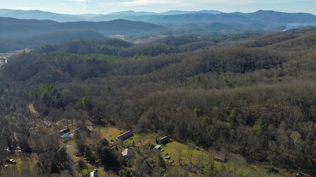 TBD Jimmy Hollow Rd, Butler TN, 37640 land for sale