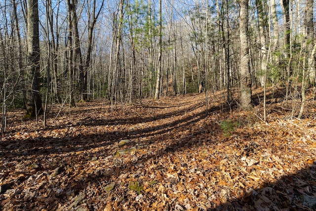 Listing photo 3 for TBD Jimmy Hollow Rd, Butler TN 37640