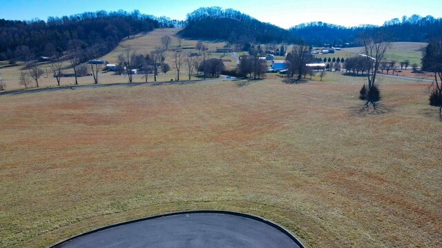 LOT58 Walnut Pl, Church Hill, TN 37642