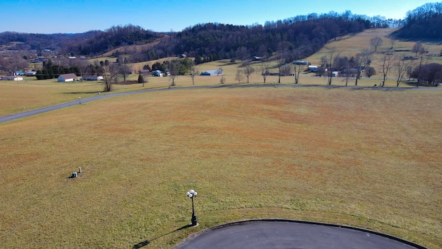 Listing photo 3 for LOT59 Walnut Pl, Church Hill TN 37642