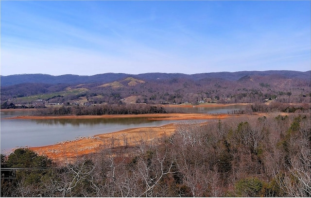 Listing photo 3 for 3249 Rocky Springs Rd, Bean Station TN 37708