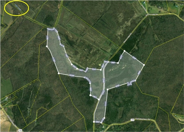 000 Mason Lodge Rd, Mohawk TN, 37810 land for sale