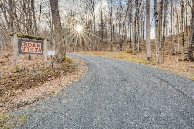 LOT16 High Point Dr, Roan Mountain TN, 37687 land for sale