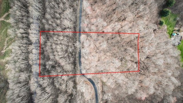 Listing photo 2 for LOT16 High Point Dr, Roan Mountain TN 37687