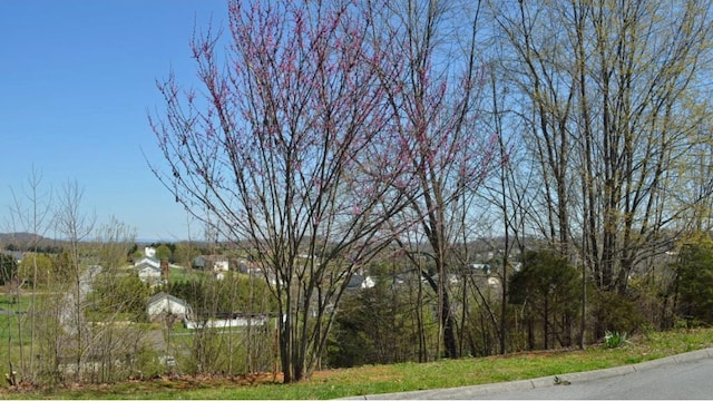 Listing photo 2 for 208 Alfalfa Ln, Jonesborough TN 37659