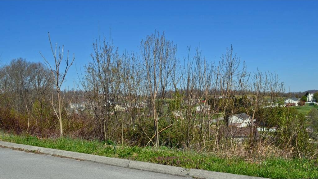 214 Alfalfa Ln, Jonesborough, TN 37659 - photo 1