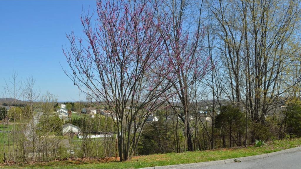 214 Alfalfa Ln, Jonesborough, TN 37659 - photo 2