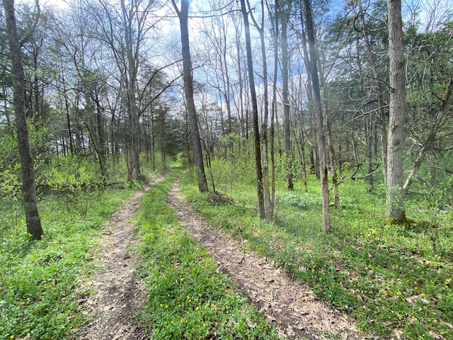 Listing photo 2 for TBD Melzoni Rd, Pennington Gap VA 24277