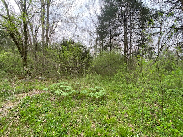 Listing photo 3 for TBD Melzoni Rd, Pennington Gap VA 24277