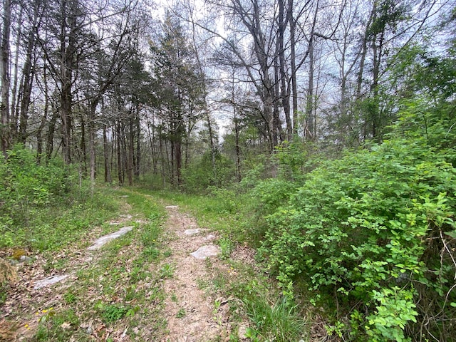 TBD Melzoni Rd, Pennington Gap, VA 24277