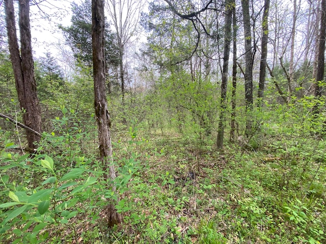 TBD Melzoni Rd, Pennington Gap, VA 24277