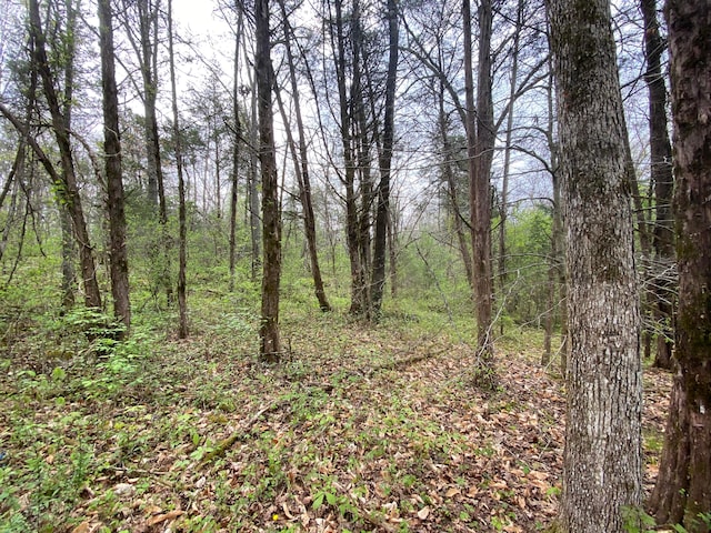 TBD Melzoni Rd, Pennington Gap, VA 24277