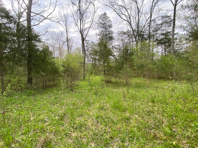 TBD Melzoni Rd, Pennington Gap, VA 24277
