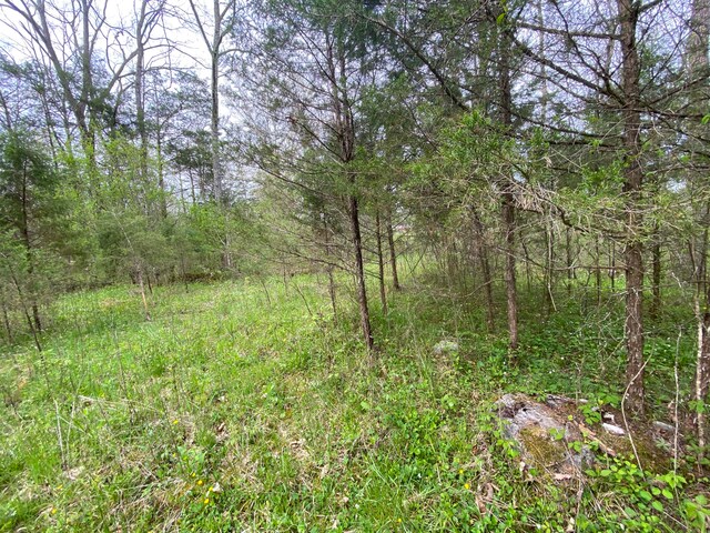 TBD Melzoni Rd, Pennington Gap, VA 24277