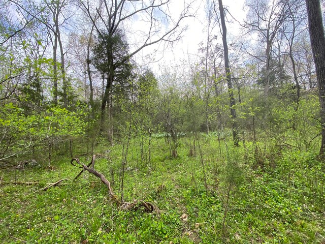 TBD Melzoni Rd, Pennington Gap, VA 24277