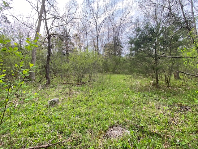 TBD Melzoni Rd, Pennington Gap, VA 24277
