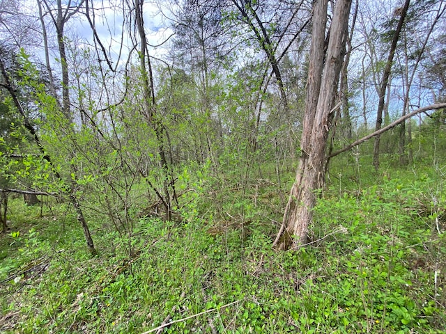 TBD Melzoni Rd, Pennington Gap, VA 24277