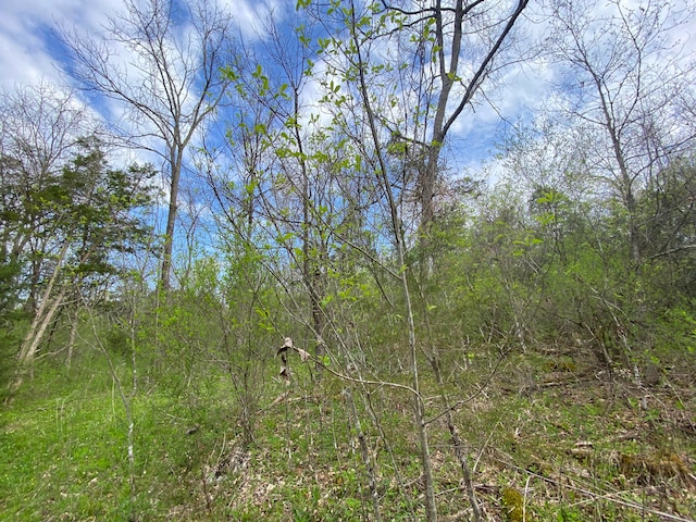 TBD Melzoni Rd, Pennington Gap, VA 24277