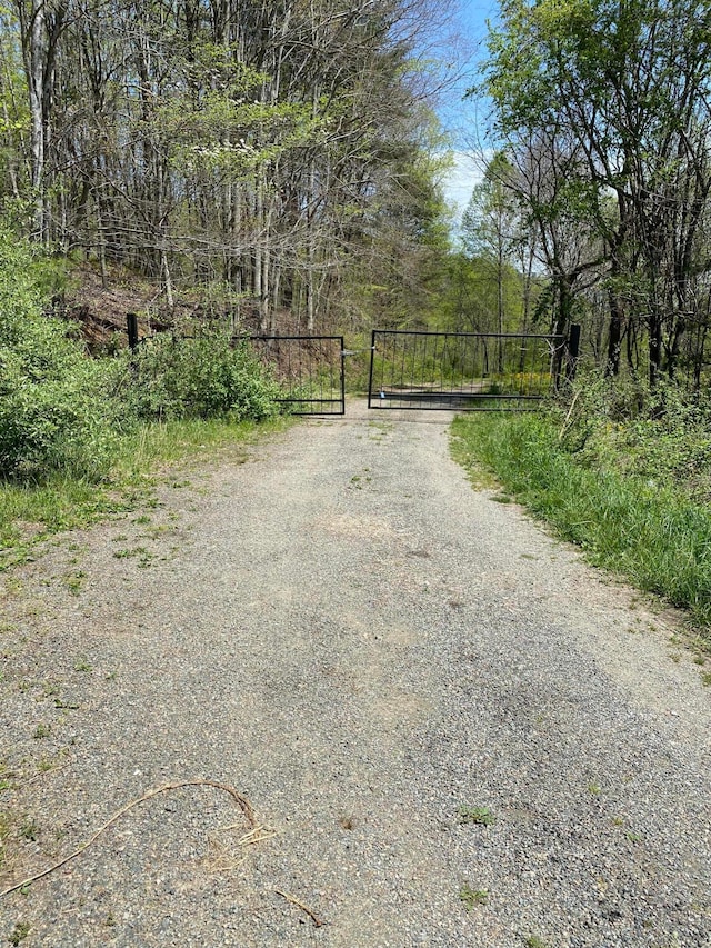 Tbd Big Dry Run Road, Butler TN, 37640 land for sale