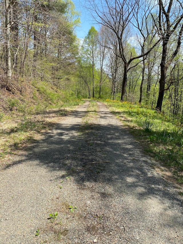 Listing photo 3 for Tbd Big Dry Run Road, Butler TN 37640