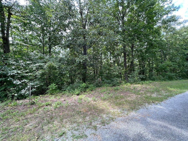 Listing photo 3 for LOT37 Pecan Tree Ln, Newport TN 37821