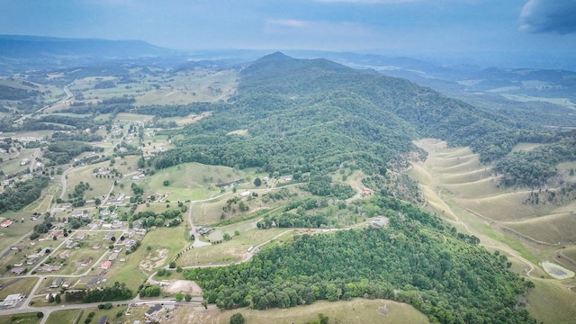 aerial view featuring a mountain view