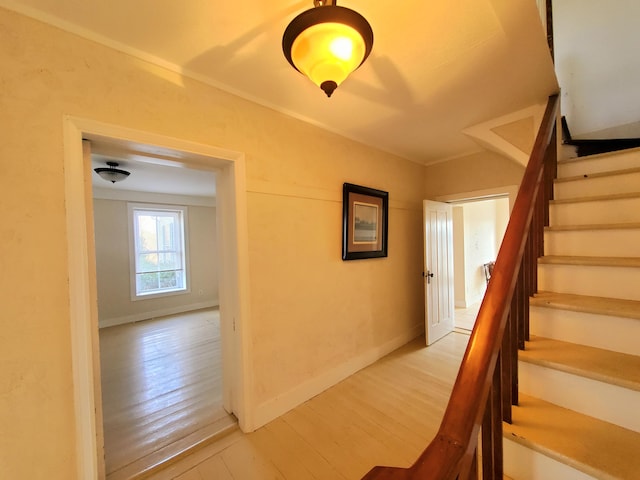364 River Pointe Dr, Greeneville, TN 37743 - photo 12