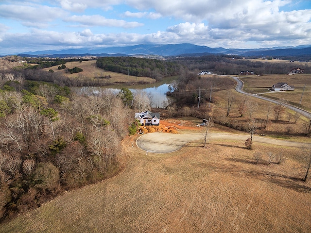 364 River Pointe Dr, Greeneville, TN 37743 - photo 29