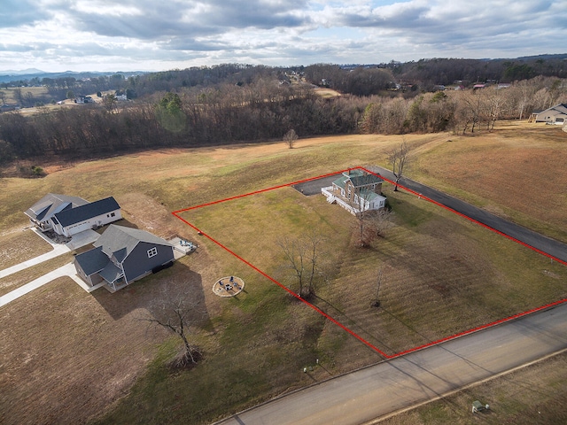 364 River Pointe Dr, Greeneville, TN 37743 - photo 30